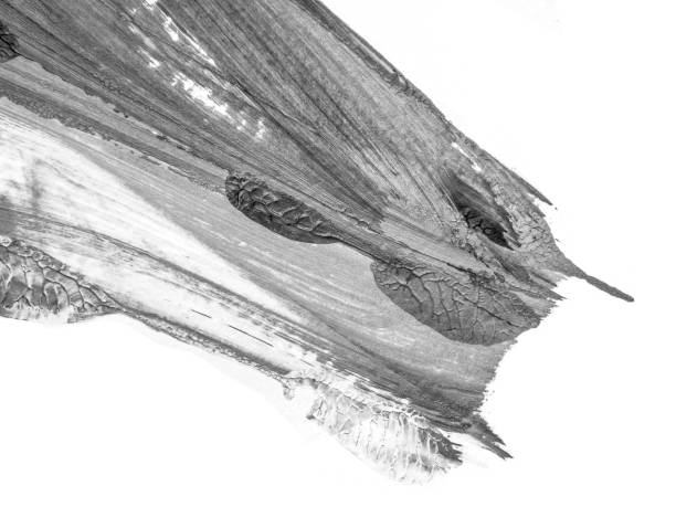 istock The black white acrylic painting texture background 1200510212