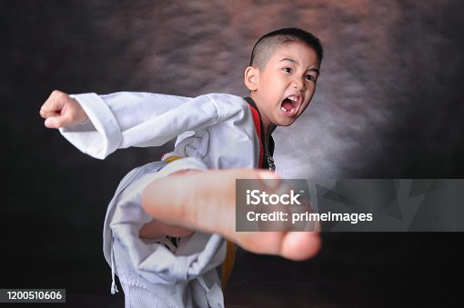 istock Portrait of young boy doing karate moves 1200510606
