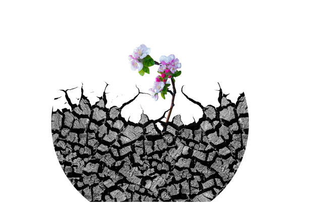 Drought pot