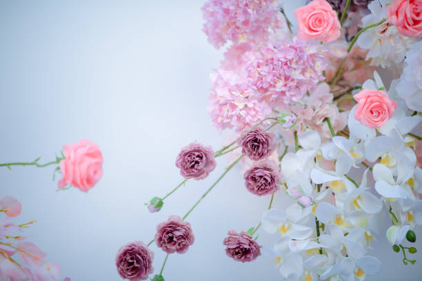 istock Beautiful pink flowers on a white background for making graphics. 1200516690