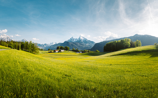 Paisaje idílico en los Alpes con prados en flor en primavera photo