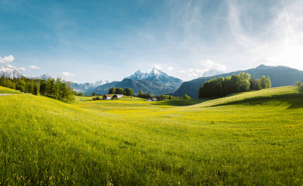 paisagem idílica nos alpes com prados de florescência na primavera - european alps mountain house bavaria - fotografias e filmes do acervo