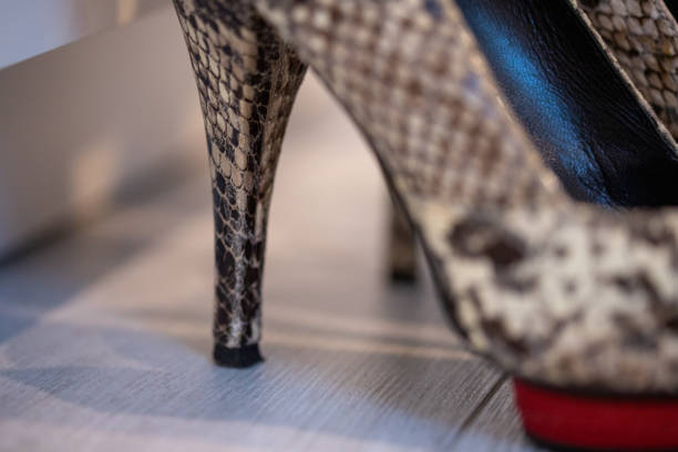 ハイヒールパンプスのクローズアップ - round toe shoes ストックフォトと画像