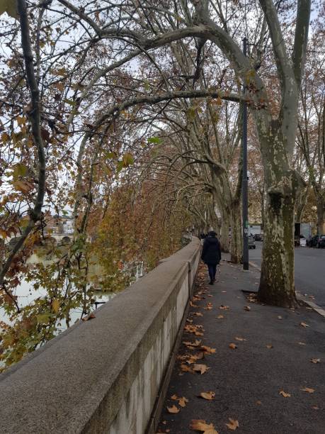 rome, ponte, road, tree, street - tranquil scene sky street road imagens e fotografias de stock