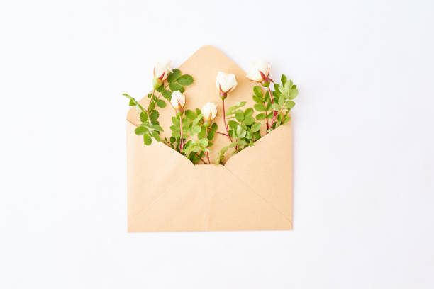 istock Flat lay composition with craft envelope and small white flowers on a white background 1200527886