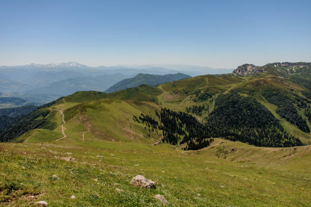 istock Beautiful landscape of hills and pine forest 1200529523