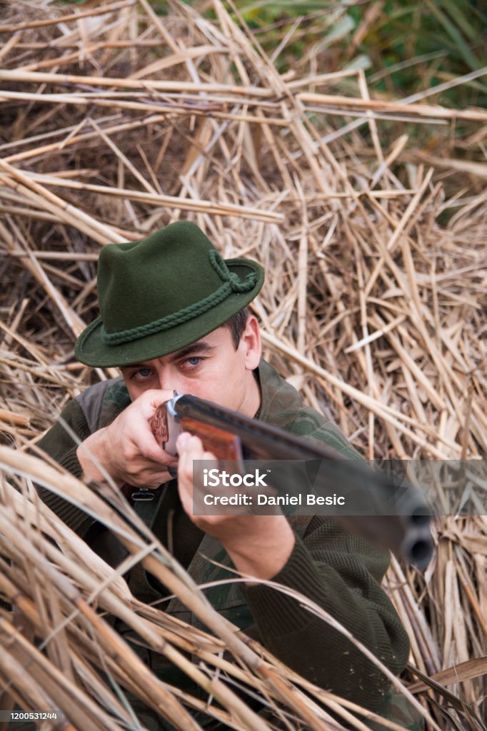 Hunter aiming with riffle shotgun Adult Stock Photo