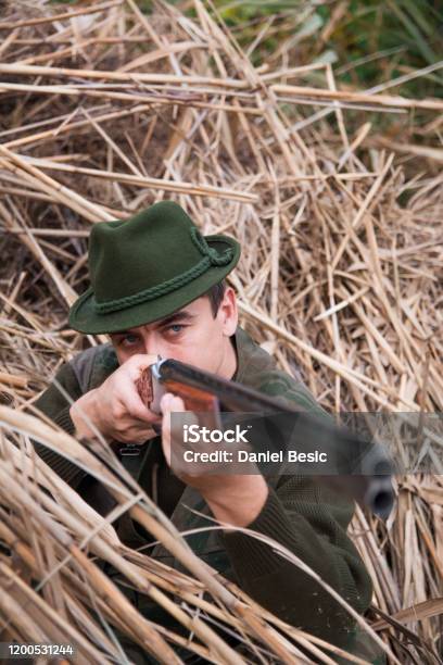 Hunter Aiming With Riffle Shotgun Stock Photo - Download Image Now - Adult, Adults Only, Aiming