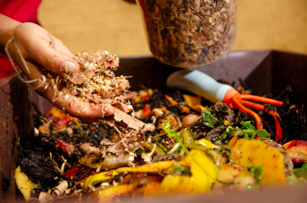 istock Covering organic compost with dry grass and organic vegetables. 1200531353