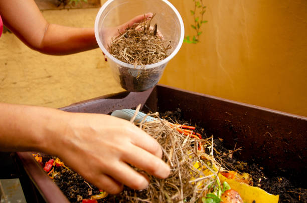 istock Covering organic compost with dry grass and organic vegetables. 1200532006