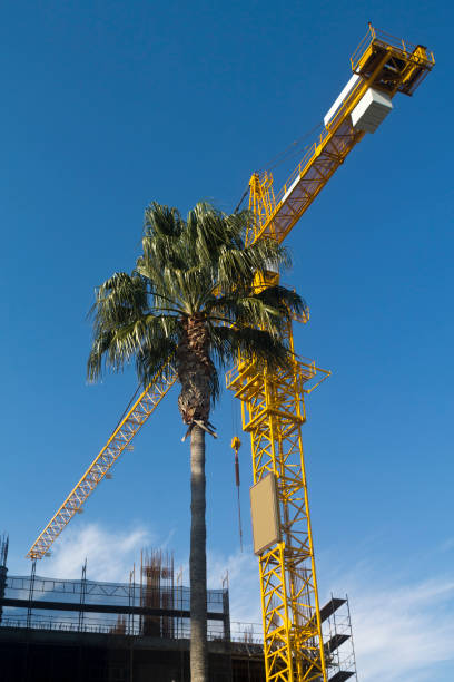 istock Palm tree and tower crane in front of blue sky 1200539806