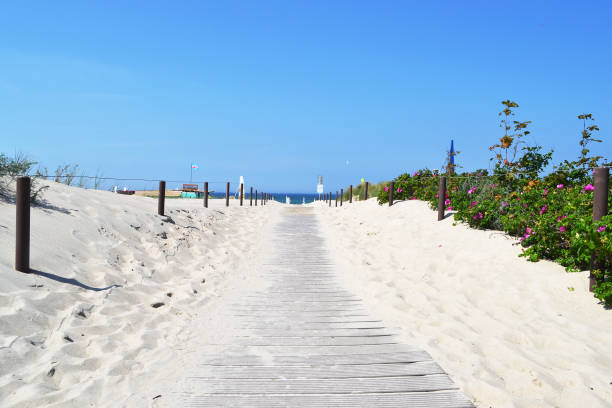 Wooden walkway to the beach between sand dunes.