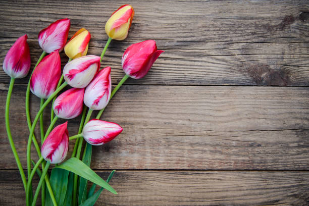 istock Bright tulips on wooden background 1200553853