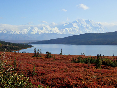 The view of Denali from the Park road, Alaska