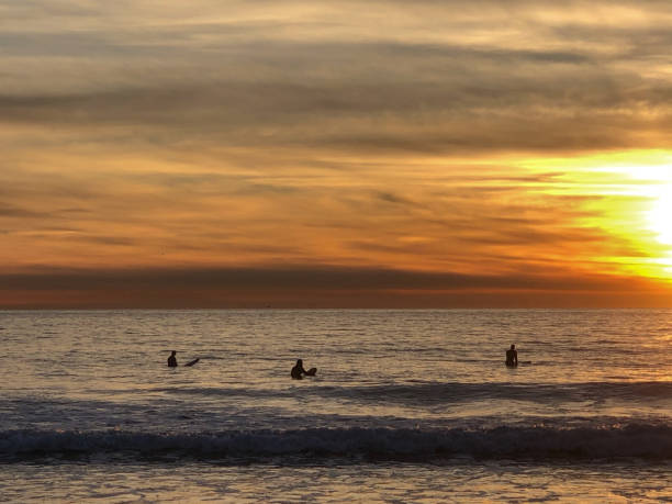 surfer genießen die letzten stunden des tages im pazifik in venedig in südkalifornien - santa monica surfing beach city of los angeles stock-fotos und bilder