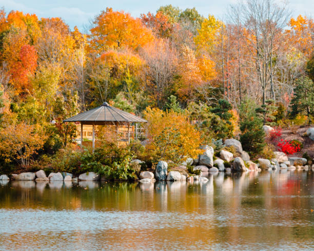 Landscape of the autumn landscape in the japanese gardens at the Frederik Meijer Gardens stock photo
