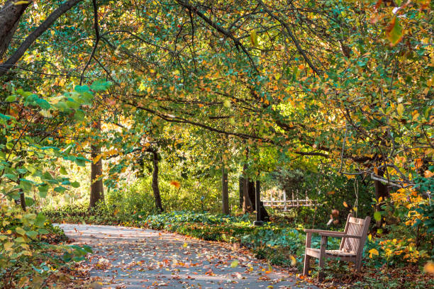 Path through the Frederik Meijer Gardens during the fall stock photo