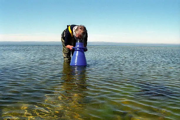 Female scientist looking with a aqua scope into the shallow water of the Baltic Sea. Gotland island.