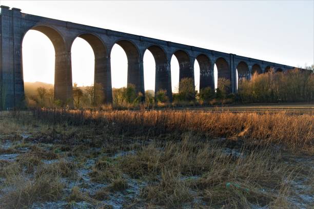 A misty frost at sunset, by Conisbrough viaduct, Doncaster, South Yorkshire. Capturing perfect symmetrical reflections, on Sprotbrough Flash, during a late afternoon in January, 2020. doncaster photos stock pictures, royalty-free photos & images