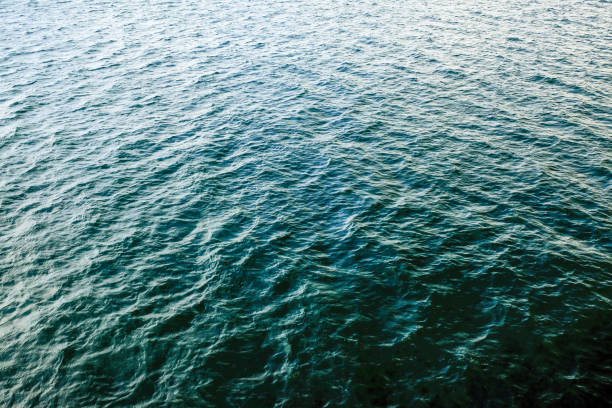 istock Calm sea water with small ripples for background and texture, nature background concept. 1200562176