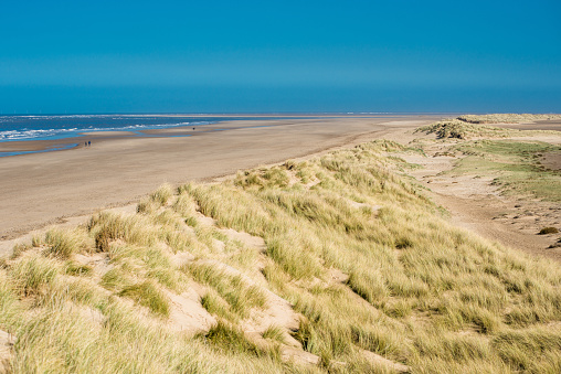 Footpath to the beach between sand dunes with marram grass. Wangerland, Friesland, Lower Saxony, Germany