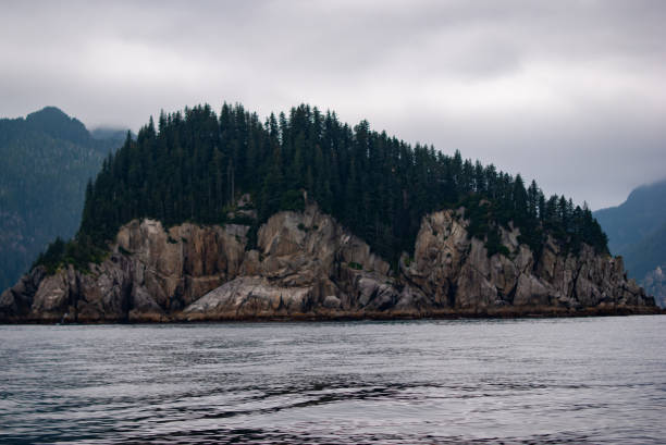 istock Island with rocks on bottom and pine trees on top in ocean in Alaska 1200569570