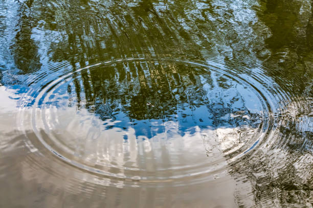 istock Circles from the raindrops break up on the surface of the pond 1200572418