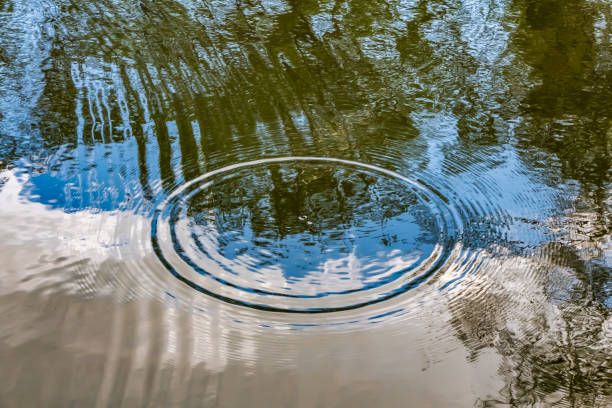 istock Circles from the raindrops break up on the surface of the pond 1200574408