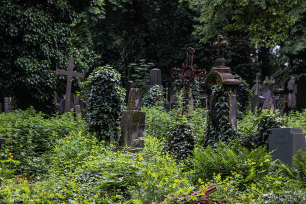 istock Overgrown Graveyard Old Tombstones with Plants all over Prague 1200575621