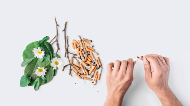 最後の1本のタバコの概念写真。テーマを吸うのをやめてください。男性の手はタバコを壊します。健康な人の肺と病気の肺が癌.白い背景コピースペースに禁煙の概念 - anti smoking ストックフォトと画像