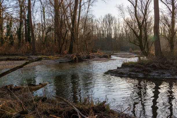 istock winter landscape inside the Ticino river national park, Besate, Milan 1200577907