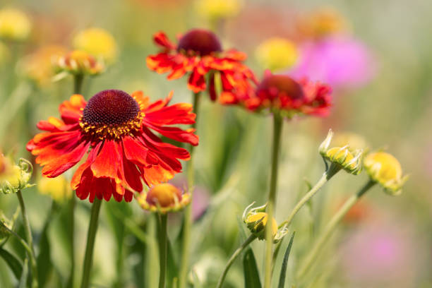 istock Fragment of colorful, spring, joyful discounts. 1200578645