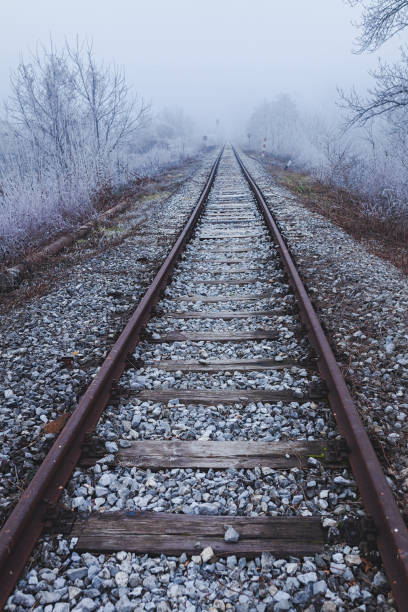 istock Railroad tracks leading into the unknown, surrounded by winter scenery 1200579243