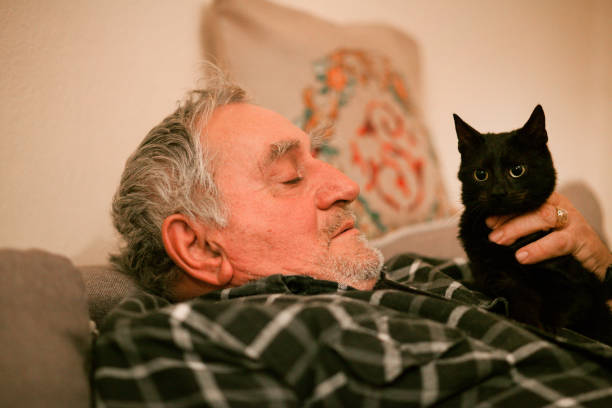 istock Old man with his cat on the couch 1200580698