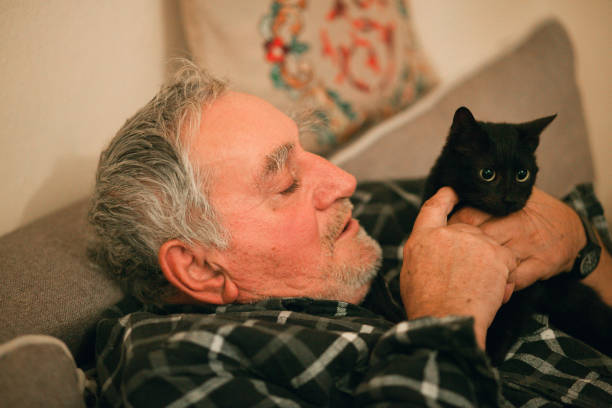 istock Old man with his cat on the couch 1200580731