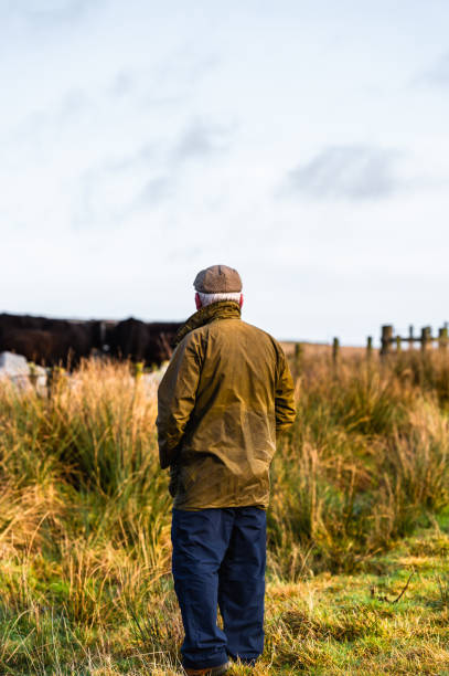 istock Senior man in a rural setting with his back to the camera looking at beef cattle in a field in south west Scotland. 1200581698