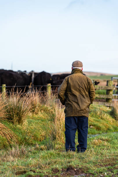 istock Senior man in a rural setting with his back to the camera looking at beef cattle in a field in south west Scotland. 1200581938