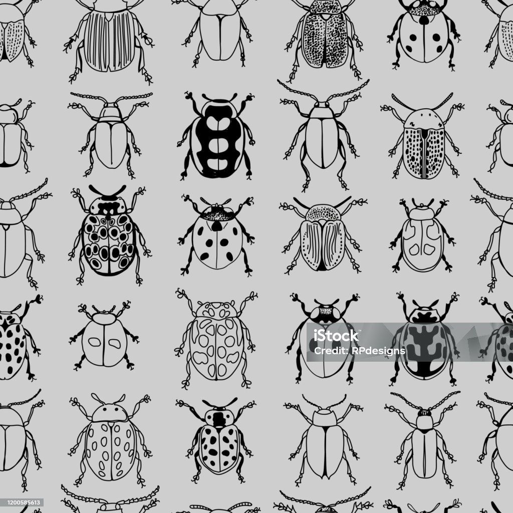 Beetle Graph Pattern Beetles Design Seamless Pattern On Grey Background Stock Illustration ...