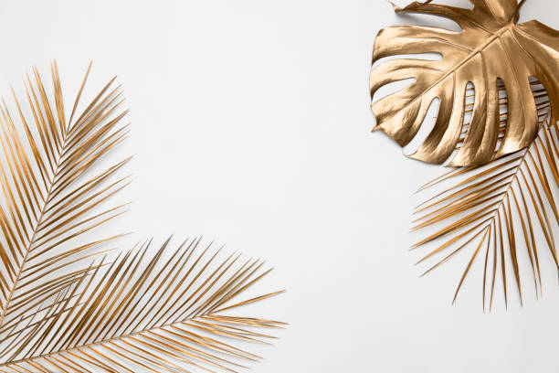 istock Golden tropical leaves on white background 1200585680