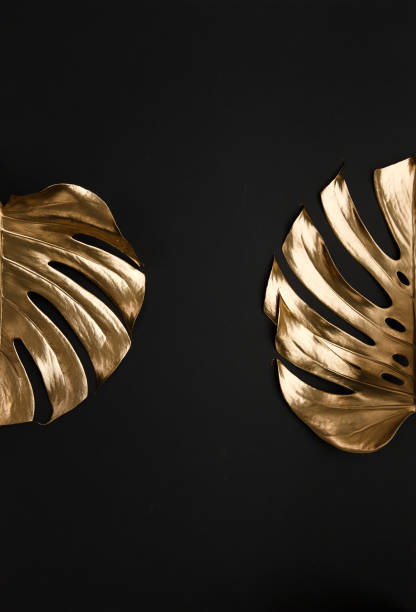 istock Golden monstera leaf on black background 1200585681