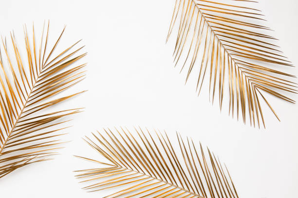 istock Gold painted date palm branches on white background 1200585694