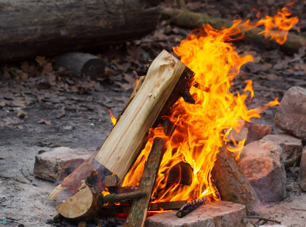 istock Bonfire, campfire background. Clouse up burning flame 1200587072