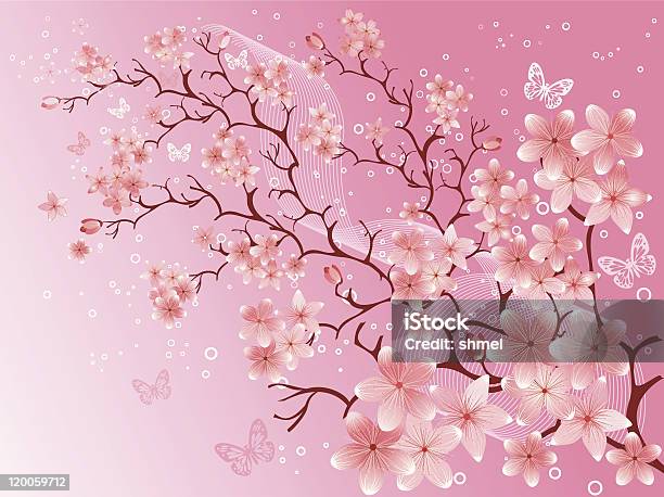 Cherry Blossom Vector Illustration Stock Illustration - Download Image Now - Backgrounds, Blossom, Branch - Plant Part