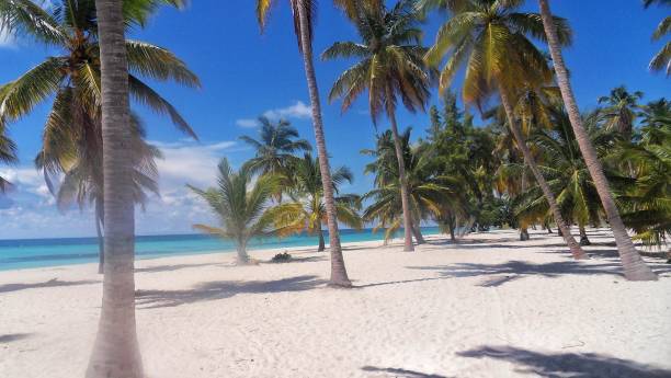 istock Beaches of Dominican Republic 1200597436