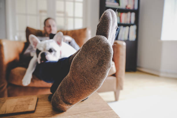 Man relaxing on sofa with his dog sleeping on his lap, focus on feet. Man using phone with his French Bulldog sleeping on his lap feet up stock pictures, royalty-free photos & images