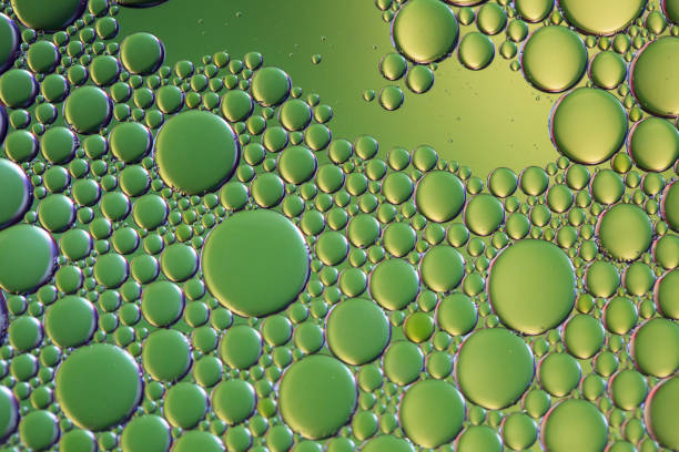 istock Bright bubbles made with water and coconut oil - green 1200604060
