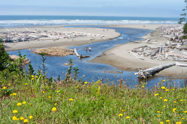 Kalaloch Beach, Olympic National Park
