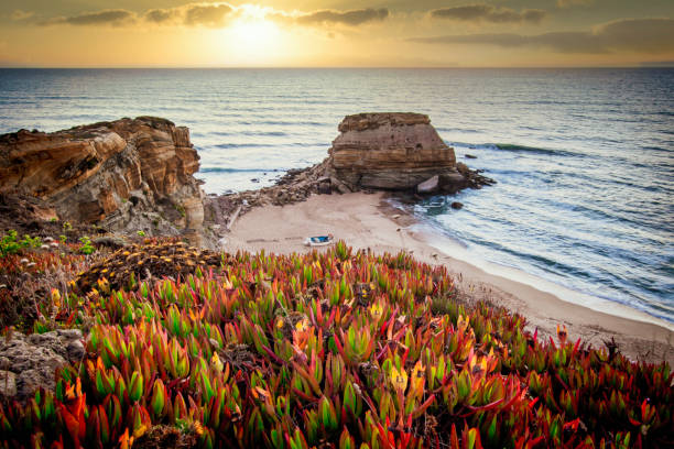 istock Sunset at a beach in Portugal 1200608882