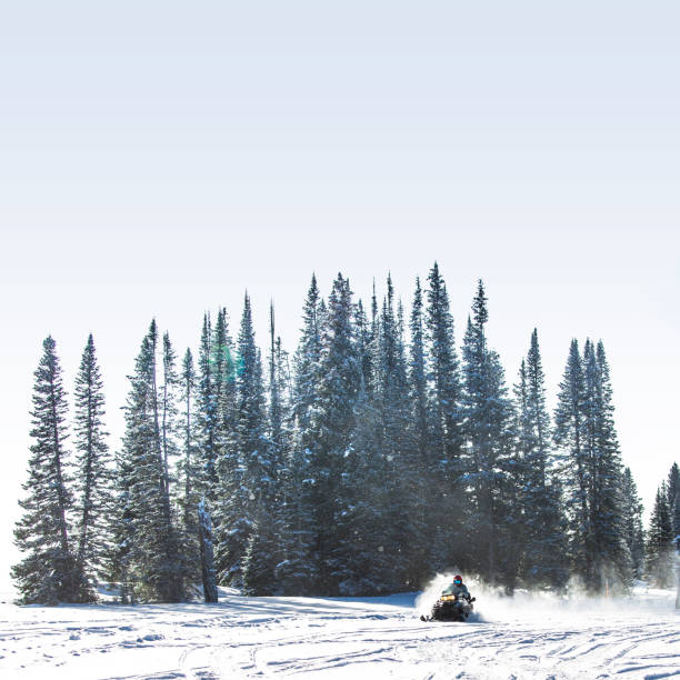 istock Driving snowmobile in Colorado, USA 1200609633