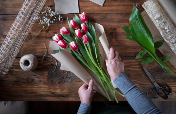 woman making a bouquet of tulips - flower arrangement flower bouquet arrangement imagens e fotografias de stock